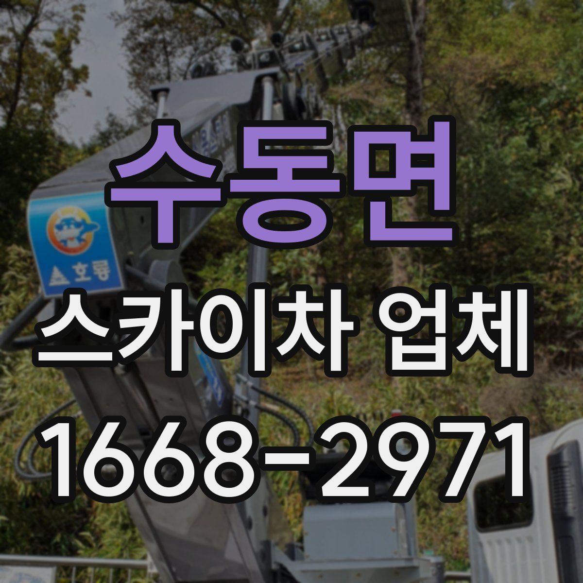 수동면 스카이차 업체
