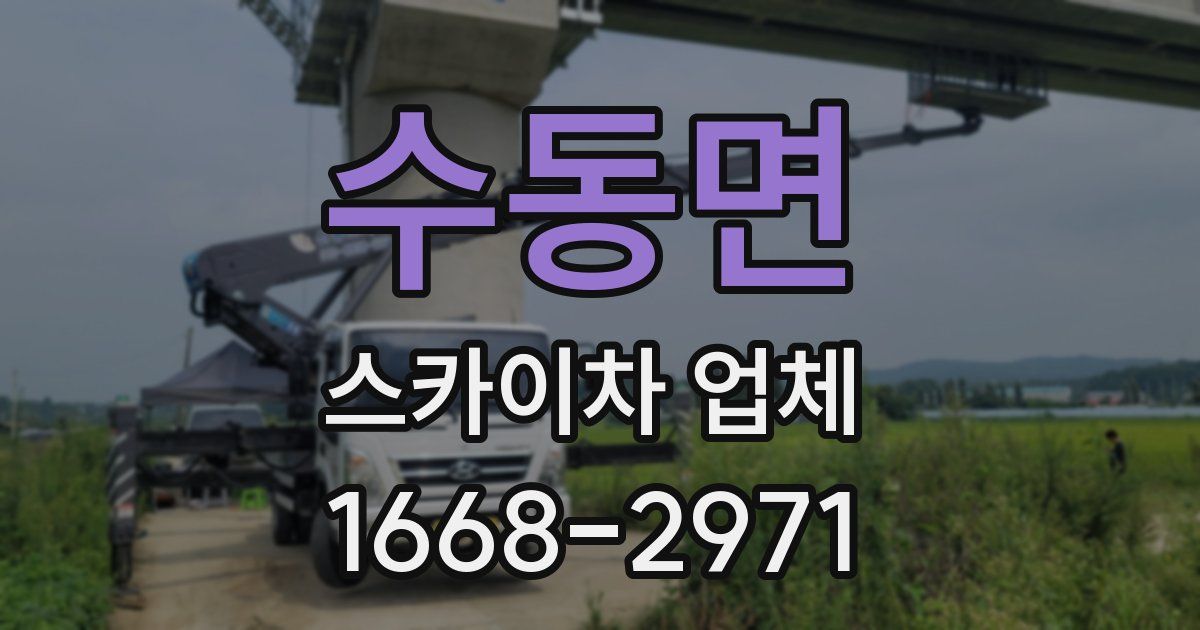 수동면 스카이차 업체