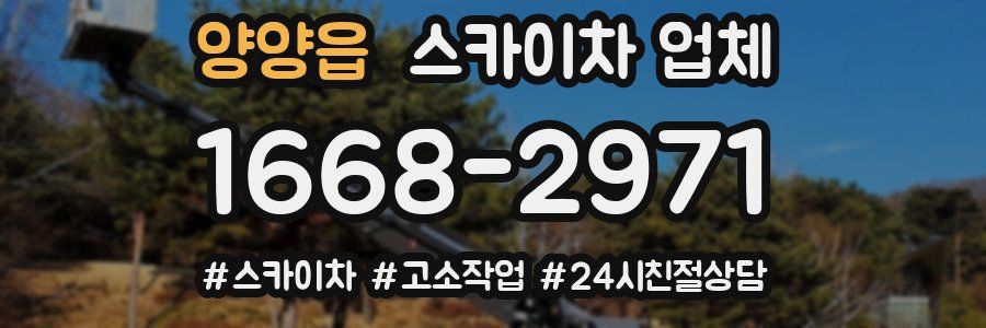 양양읍 스카이차 업체