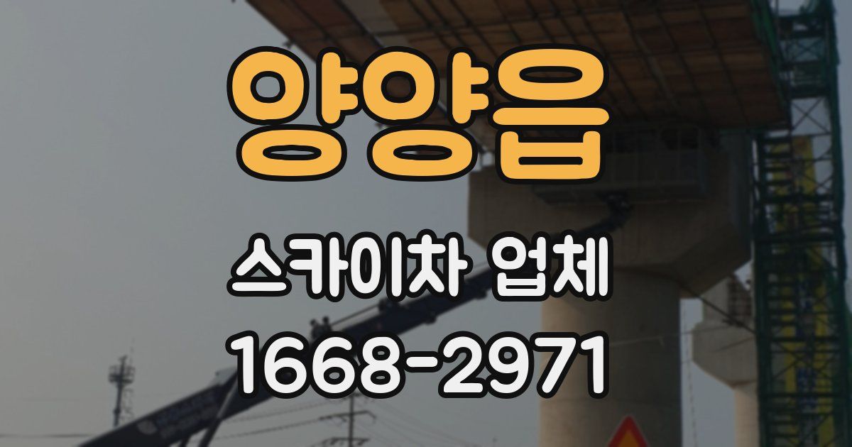 양양읍 스카이차 업체