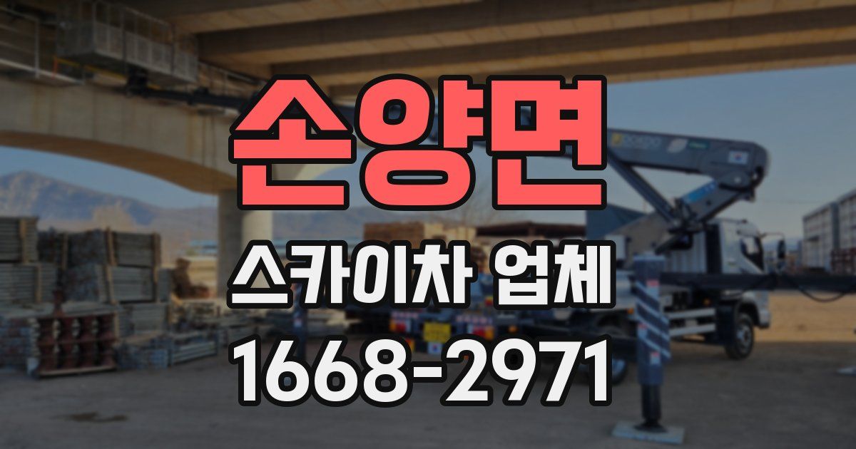 손양면 스카이차 업체