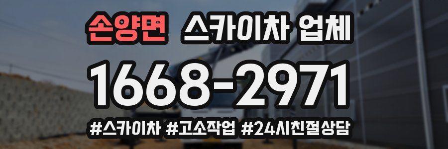 손양면 스카이차 업체