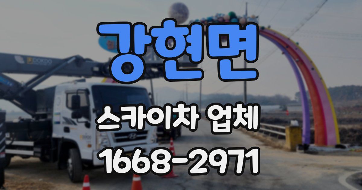 강현면 스카이차 업체