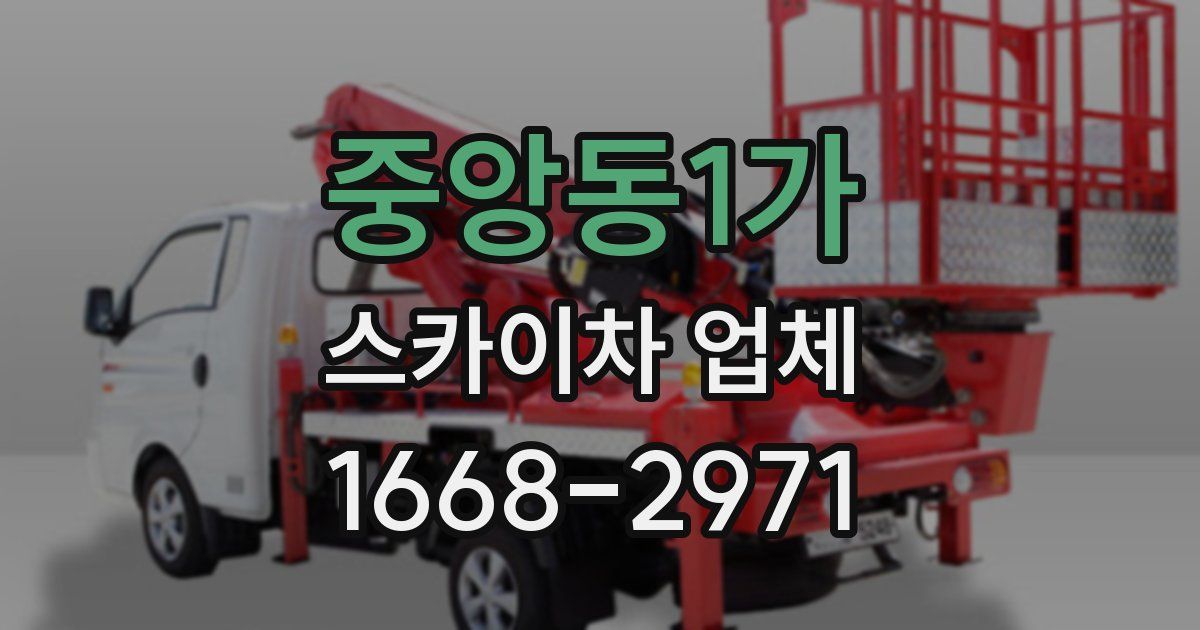 중앙동1가 스카이차 업체