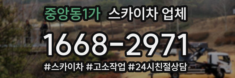 중앙동1가 스카이차 업체