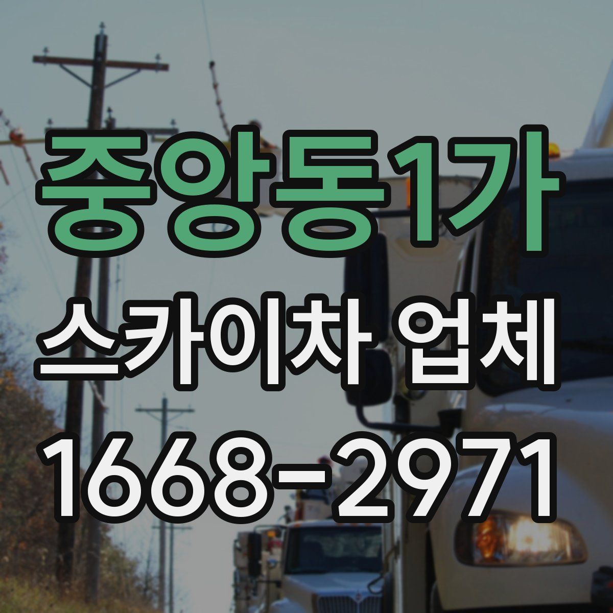 중앙동1가 스카이차 업체
