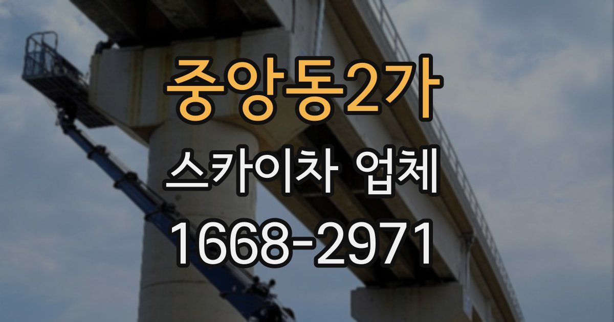 중앙동2가 스카이차 업체
