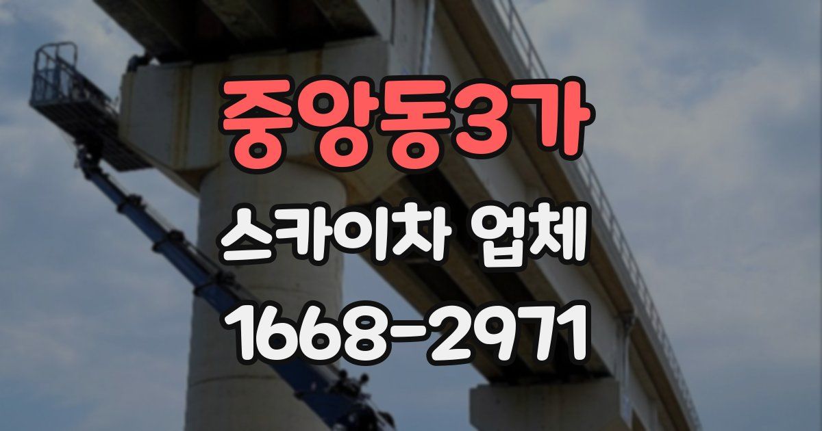 중앙동3가 스카이차 업체