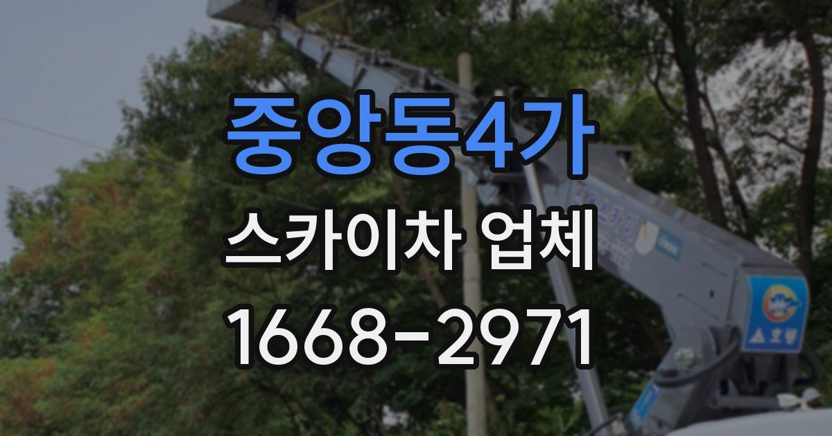 중앙동4가 스카이차 업체