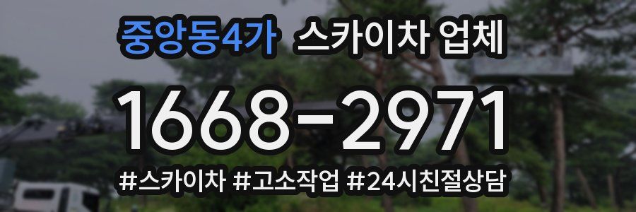 중앙동4가 스카이차 업체