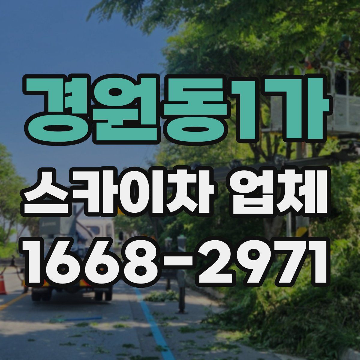 경원동1가 스카이차 업체