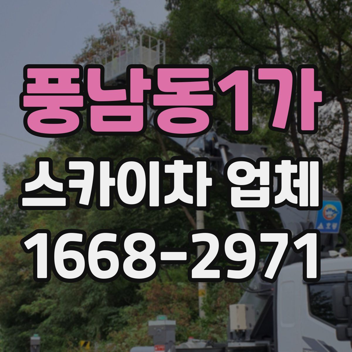 풍남동1가 스카이차 업체