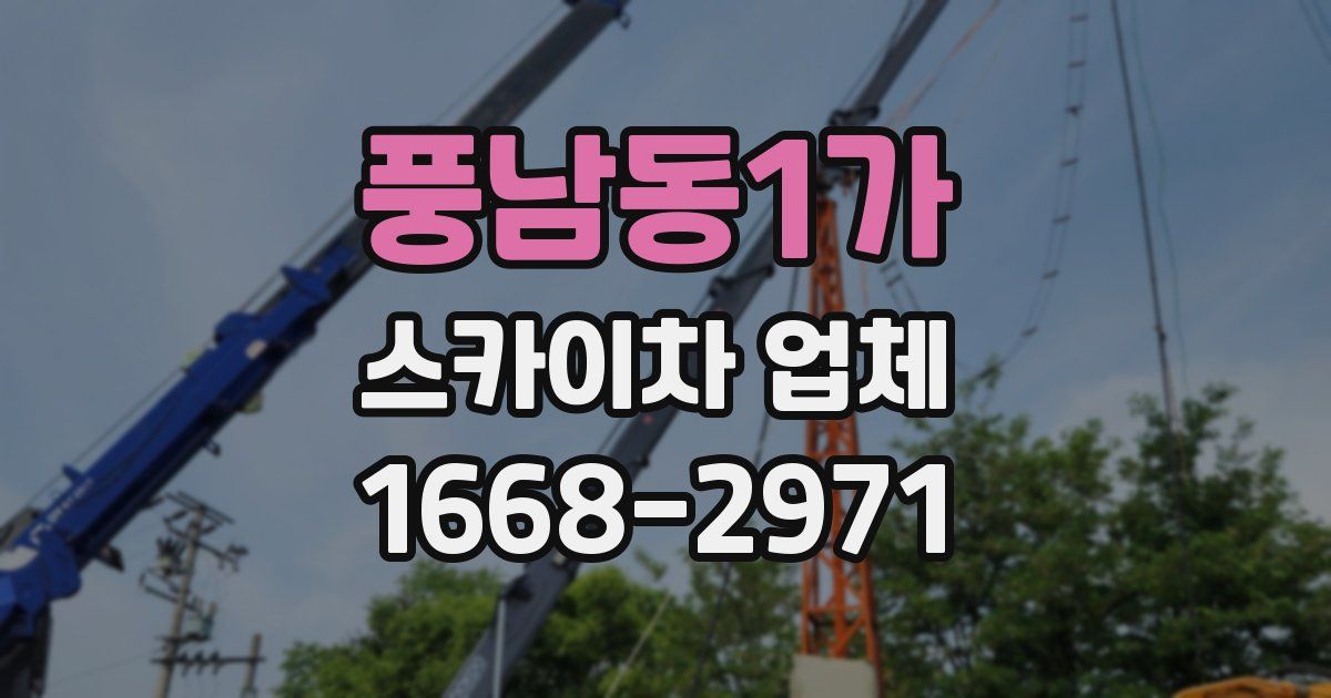 풍남동1가 스카이차 업체