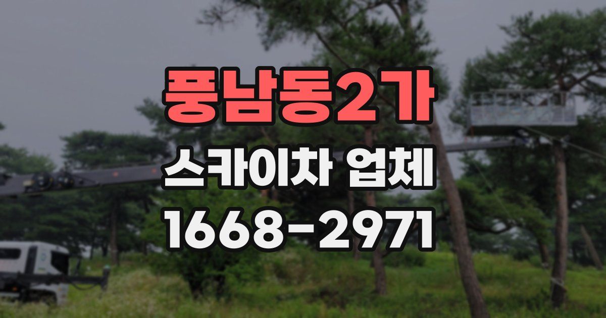 풍남동2가 스카이차 업체