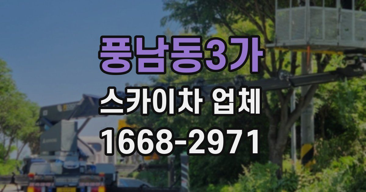 풍남동3가 스카이차 업체