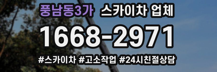 풍남동3가 스카이차 업체