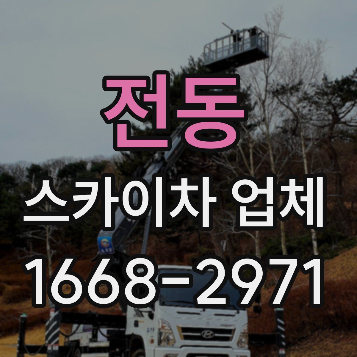 전동 스카이차 업체
