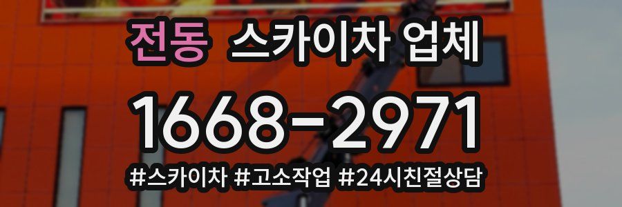 전동 스카이차 업체