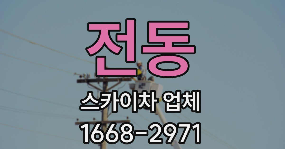 전동 스카이차 업체