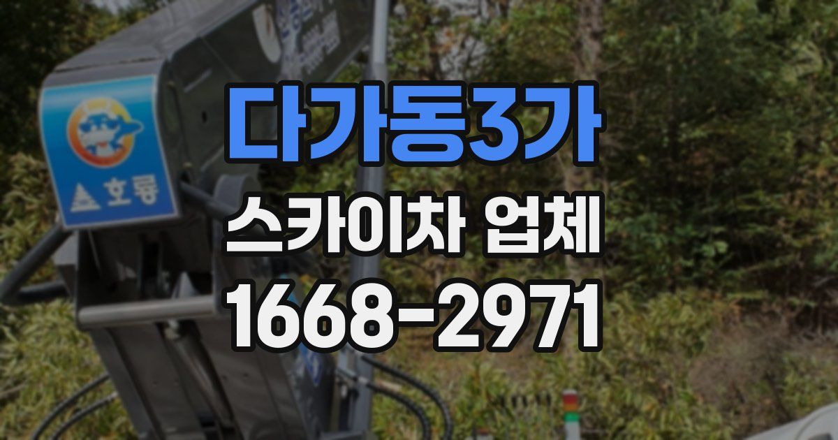 다가동3가 스카이차 업체