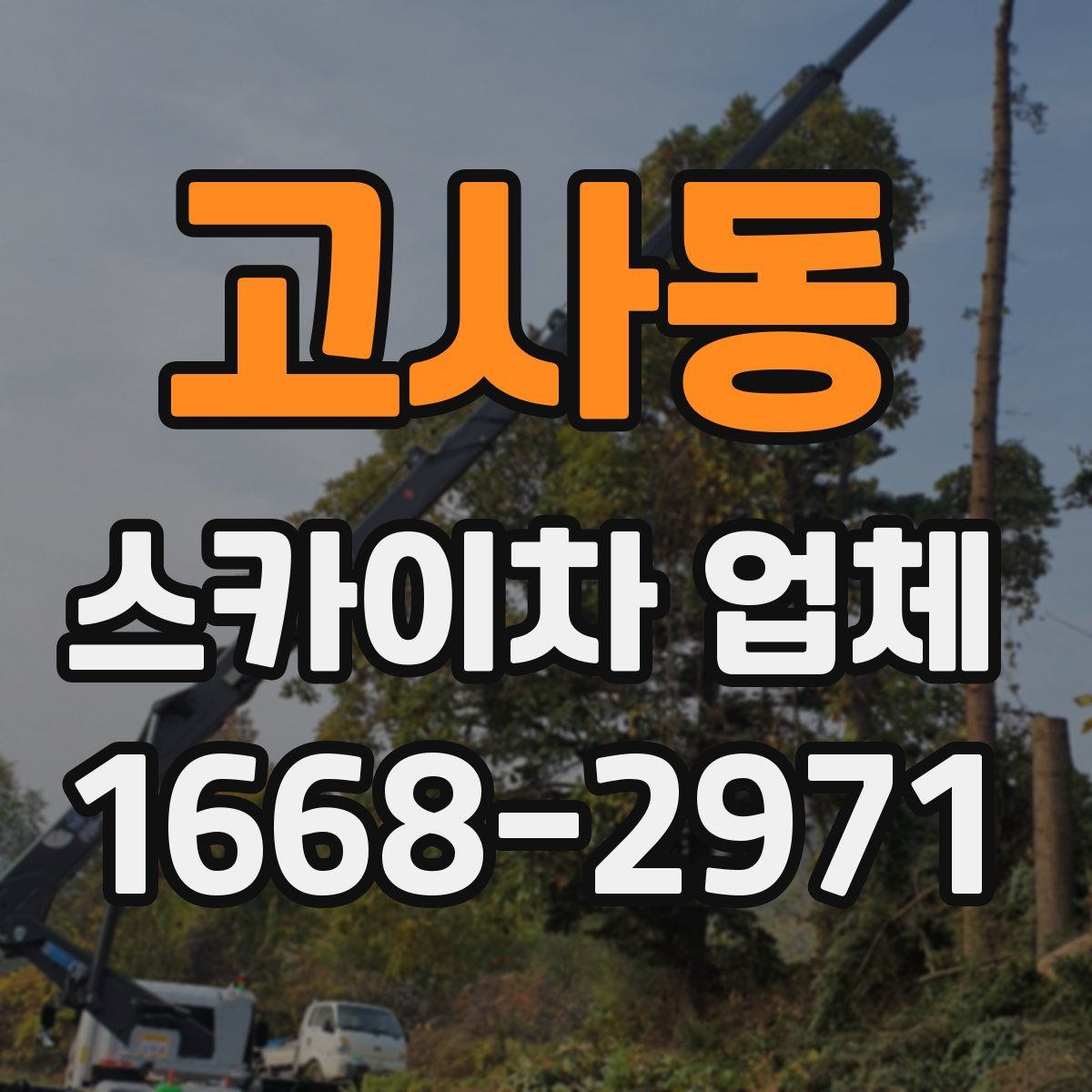 고사동 스카이차 업체