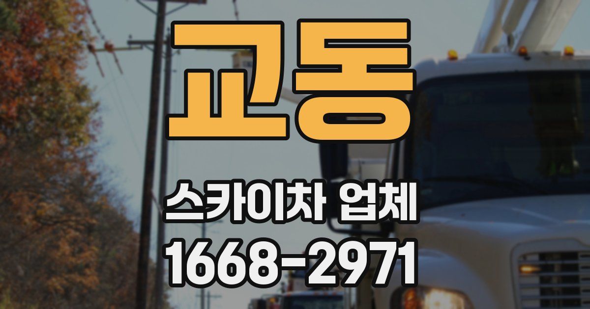 교동 스카이차 업체
