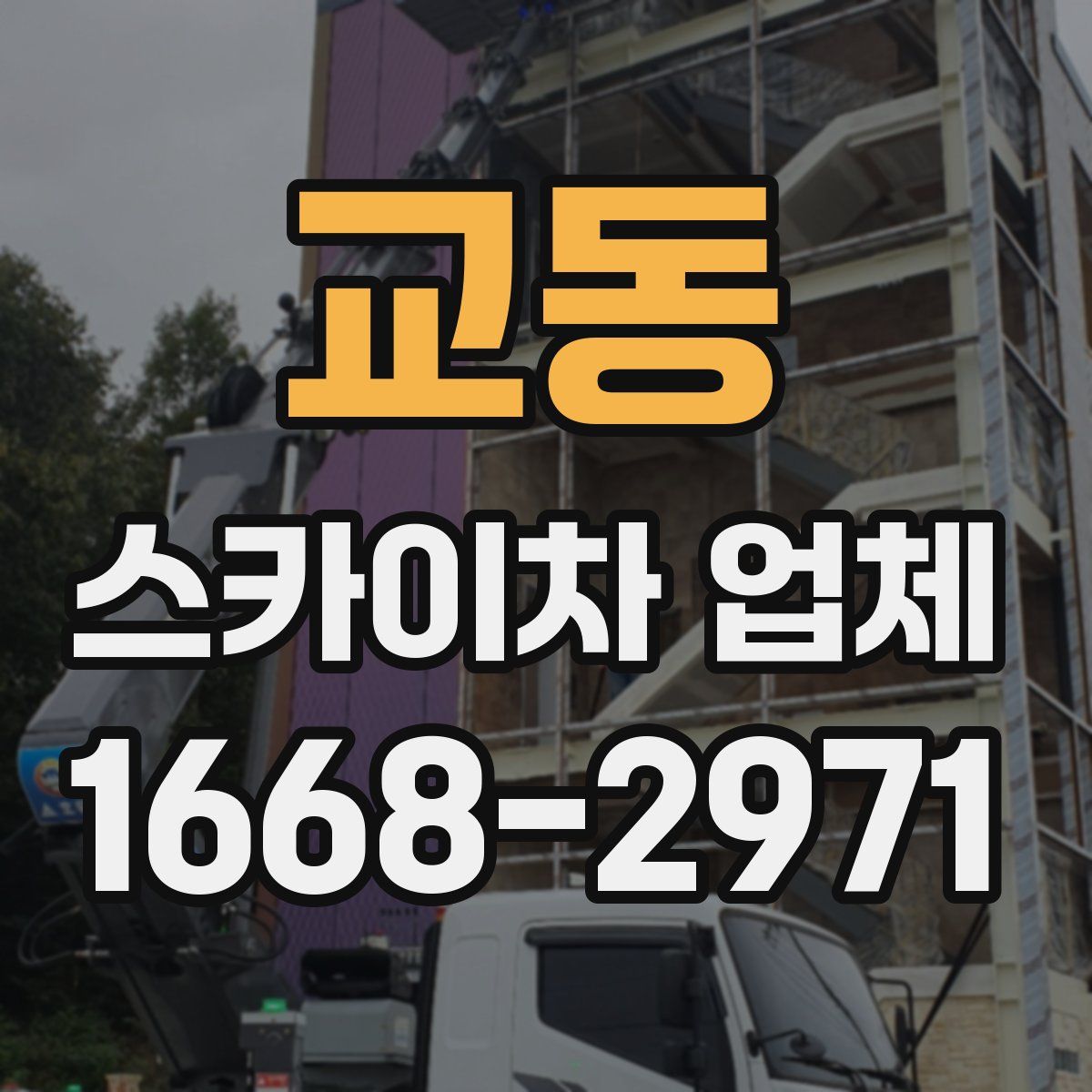 교동 스카이차 업체