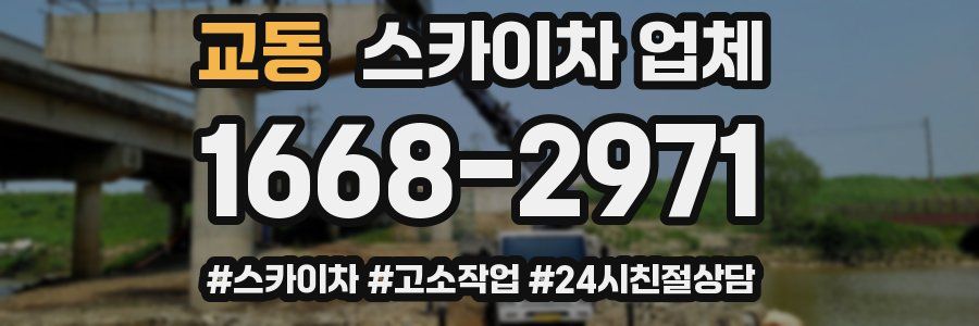 교동 스카이차 업체