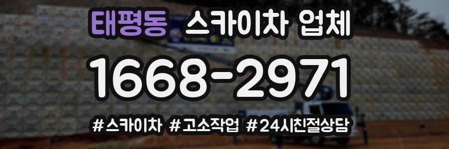 태평동 스카이차 업체