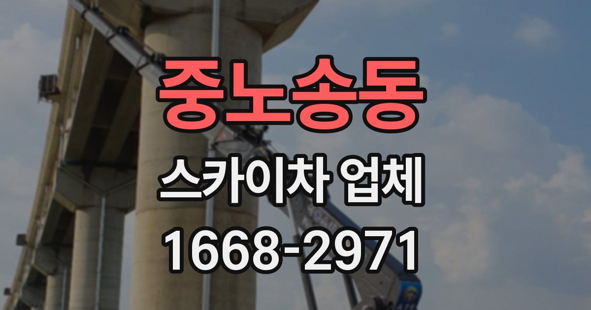 중노송동 스카이차 업체