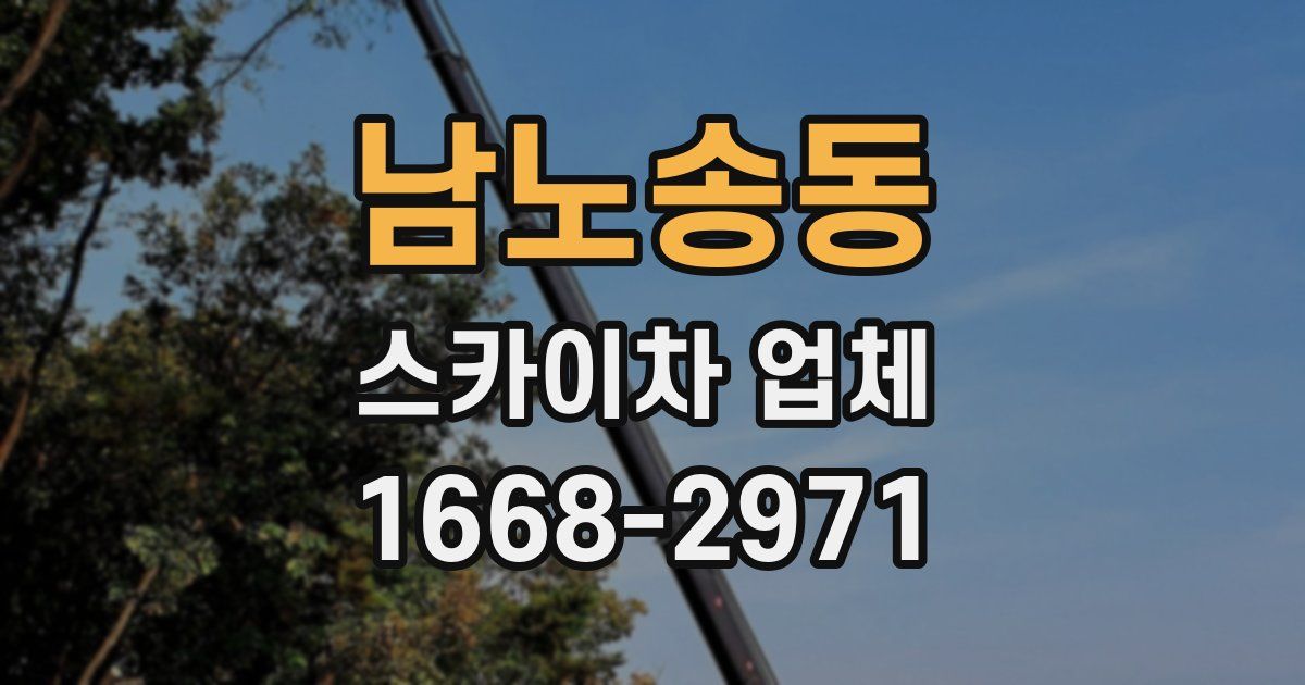 남노송동 스카이차 업체