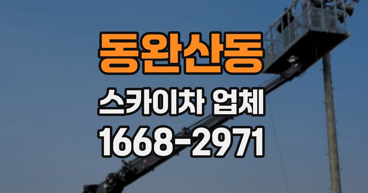 동완산동 스카이차 업체