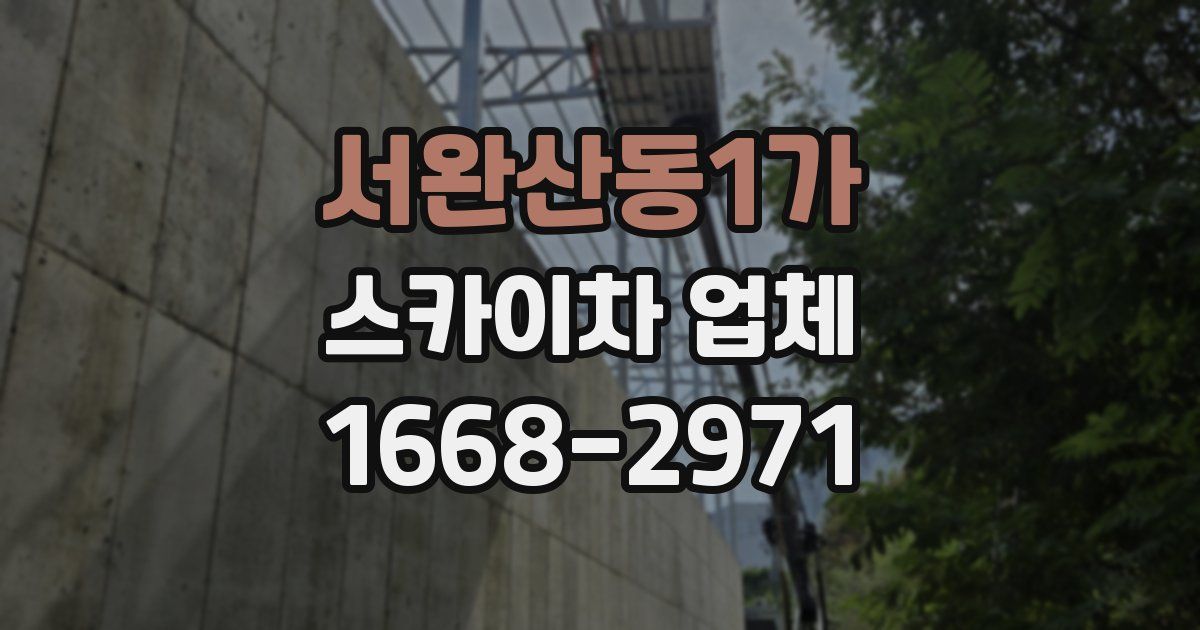 서완산동1가 스카이차 업체