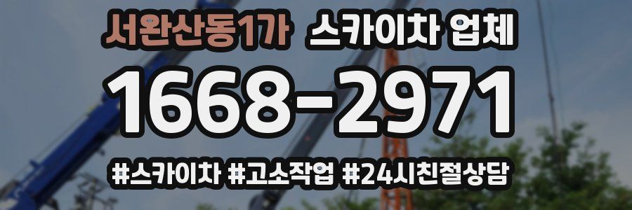 서완산동1가 스카이차 업체