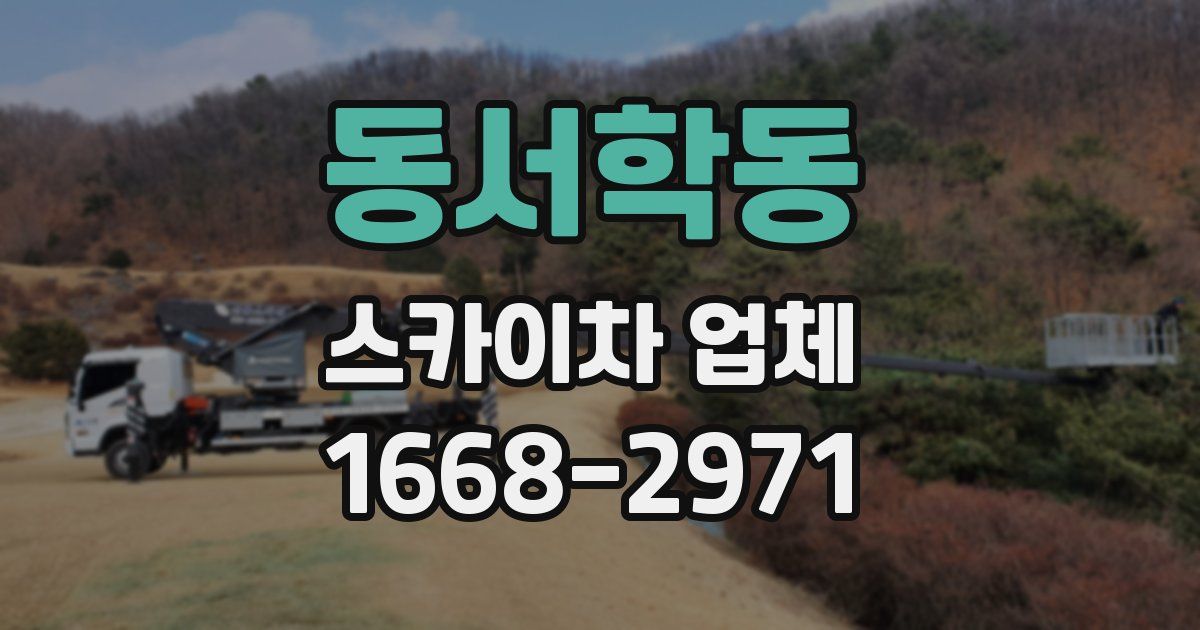 동서학동 스카이차 업체