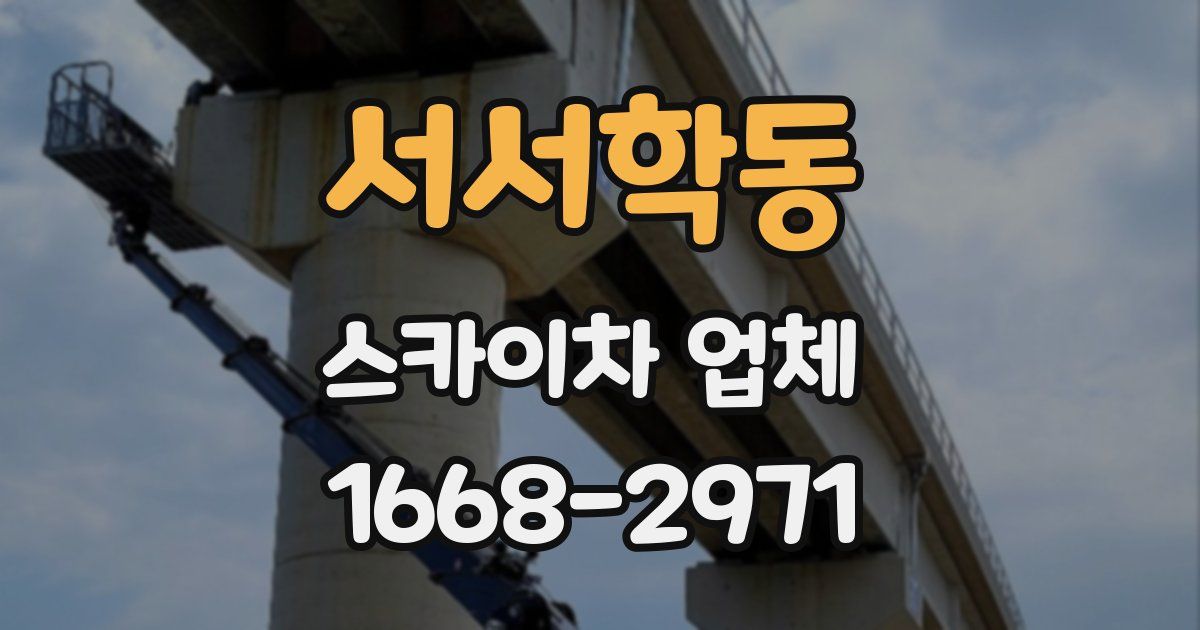 서서학동 스카이차 업체