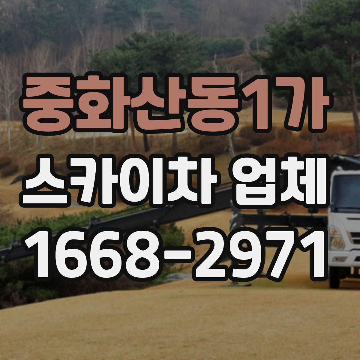중화산동1가 스카이차 업체