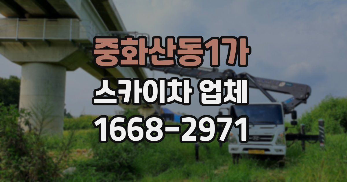 중화산동1가 스카이차 업체