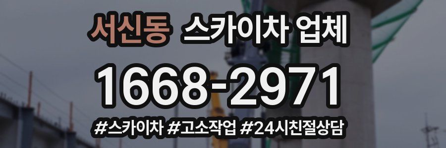 서신동 스카이차 업체
