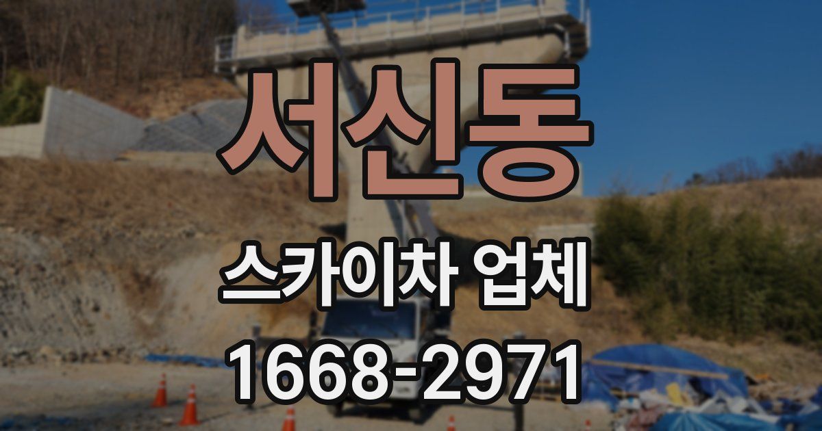서신동 스카이차 업체