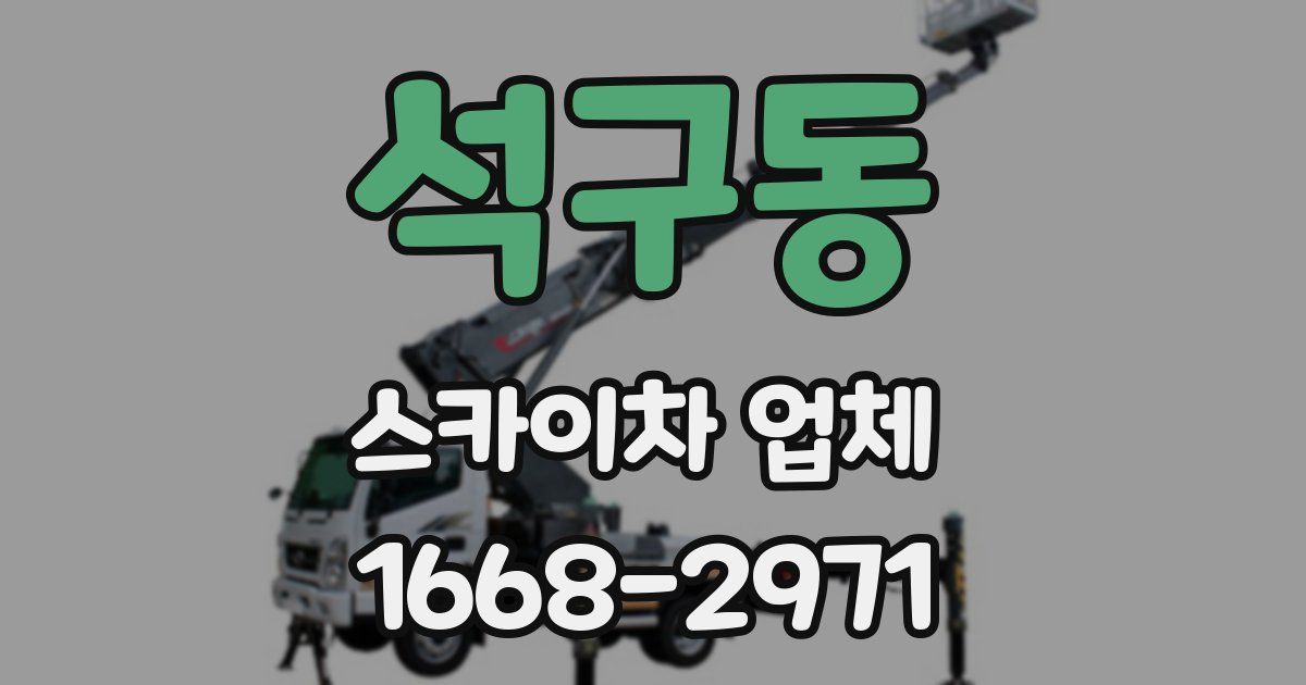 석구동 스카이차 업체