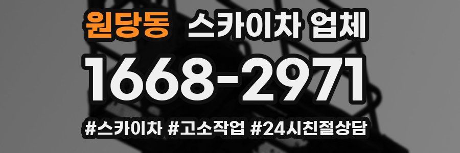 원당동 스카이차 업체