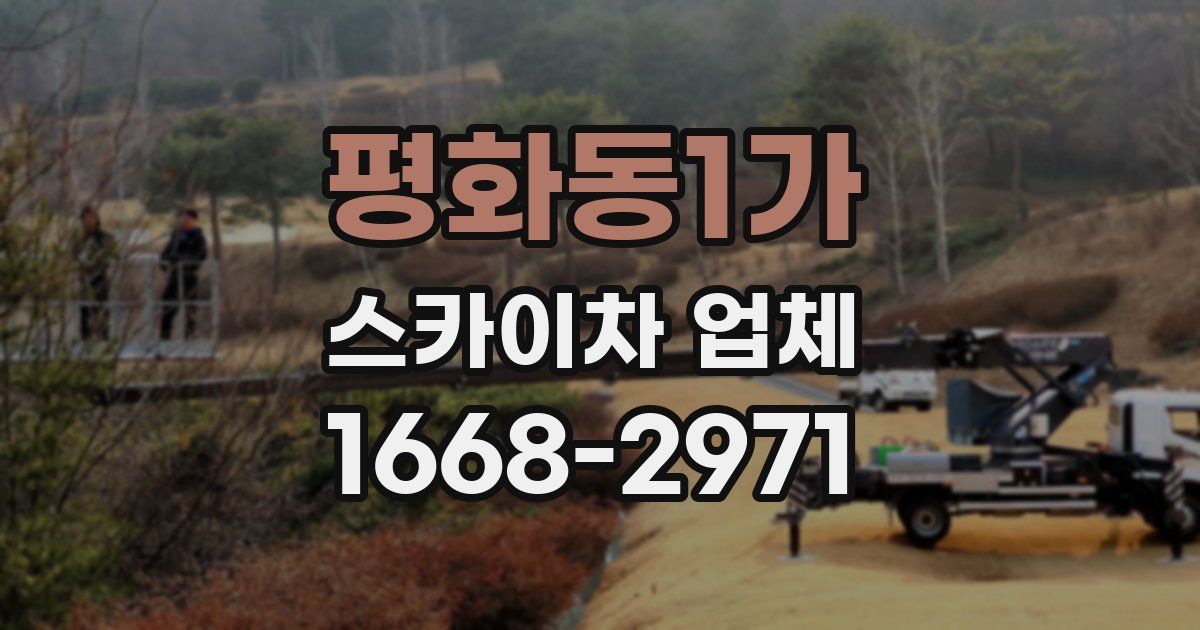 평화동1가 스카이차 업체