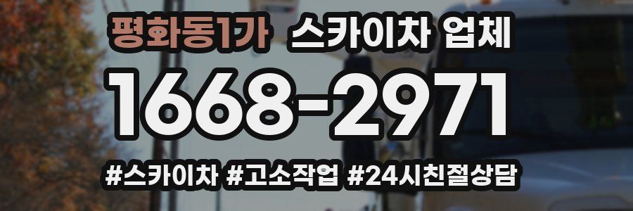 평화동1가 스카이차 업체