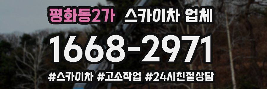 평화동2가 스카이차 업체