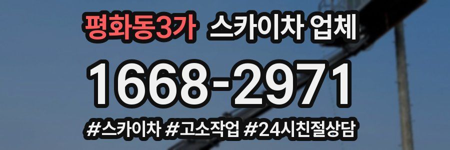 평화동3가 스카이차 업체