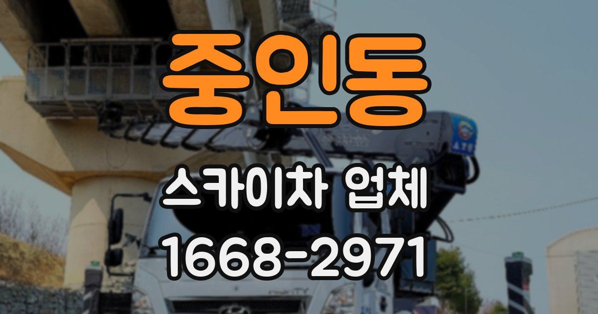 중인동 스카이차 업체