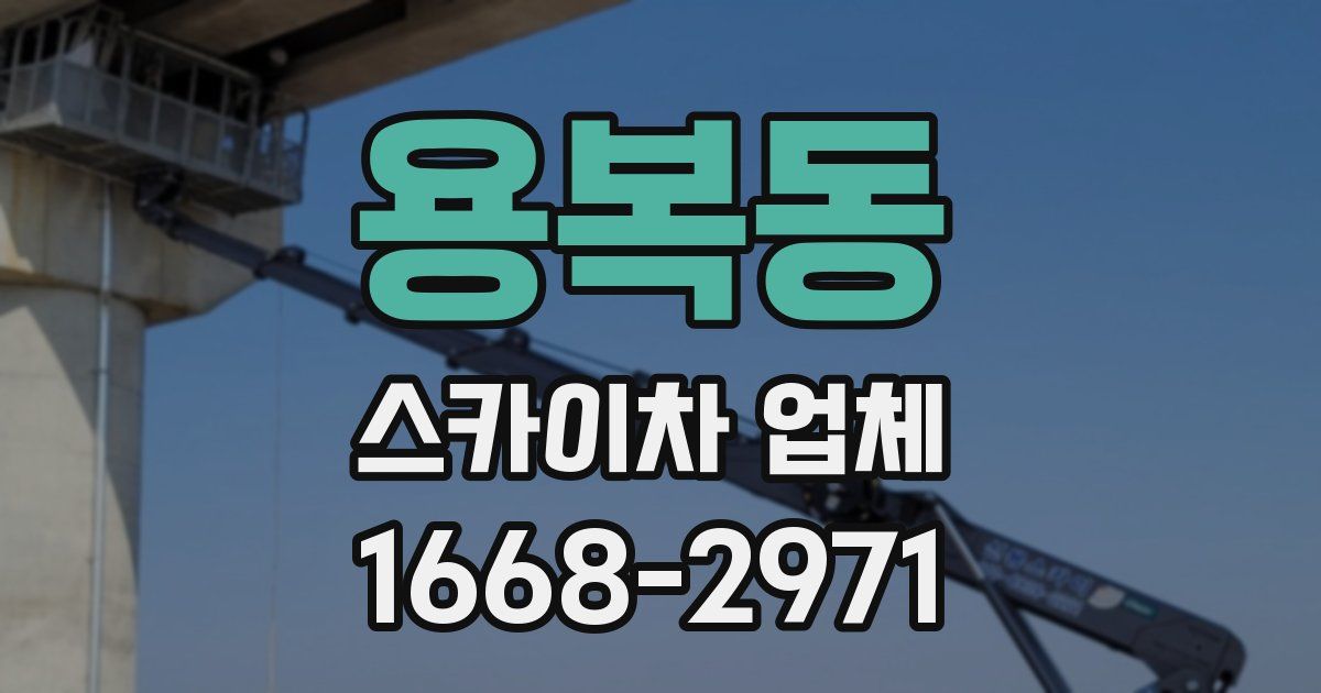 용복동 스카이차 업체