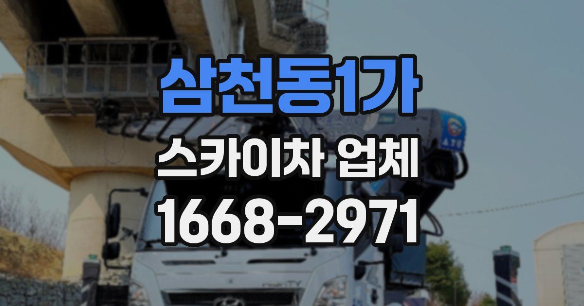 삼천동1가 스카이차 업체