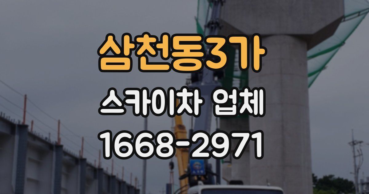 삼천동3가 스카이차 업체